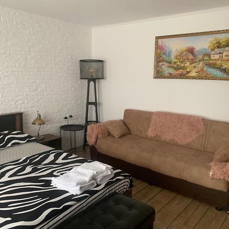 Garsoniera 1 Decembrie Apartment อัลบายูเลีย ภายนอก รูปภาพ